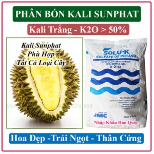 Phân bón Kali Sulfate (Kali Trắng)